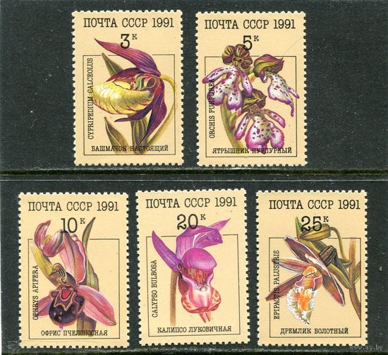 СССР 1991. Цветы. Орхидеи