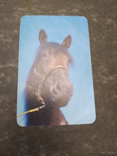 Лошадка) Союзрекламкультура