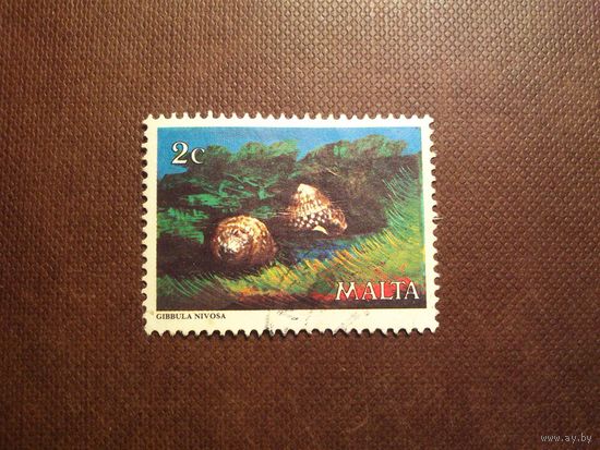 Мальта 1979 г.Морская улитка Мальтийский топ-шелл./36а/