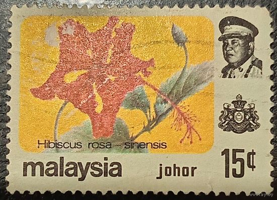 Малайзия. Флора. Цветы. Hibiscus Rosa Sinensis