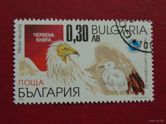 Болгария 2001 г. Птицы.