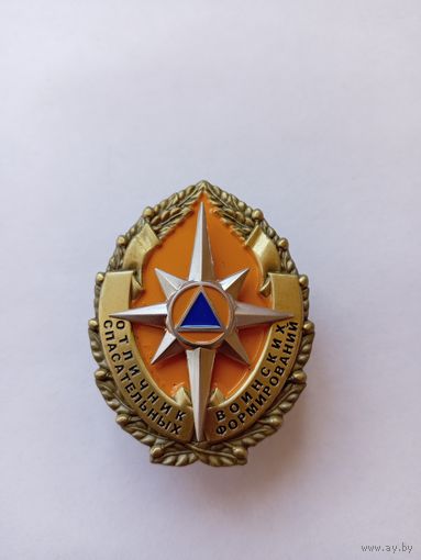 Отличник воинских спасательных формирований МЧС РФ.