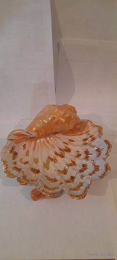 КОНФЕТНИЦА РАКУШКА ВРЕМЕН СССР