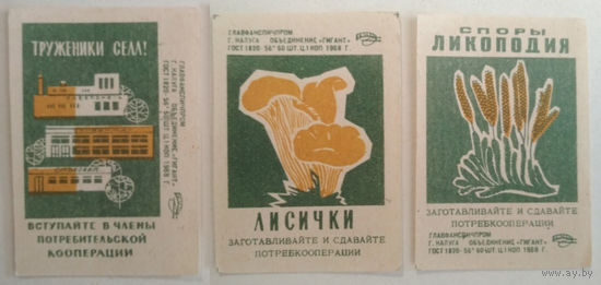 Спичечные этикетки ф.Гигант. Потребительская кооперация. 3-й выпуск.1968 год