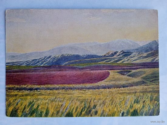 1958. Кастеев. Поднятая целина в горах