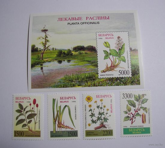 Лекарственные растения. 4м. + блок. 1996г.