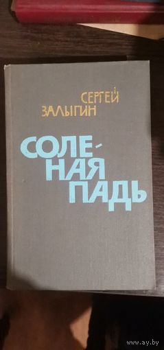 Залыгин, Солёная падь