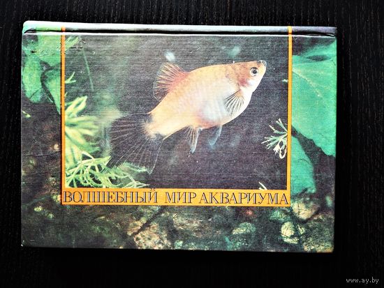 Волшебный мир аквариума. Иллюстрированный справочник