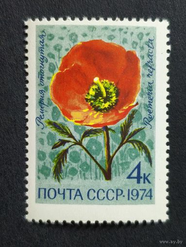 1974 СССР. Цветы альпийских лугов Центральной Азии. Ремерия отогнутая