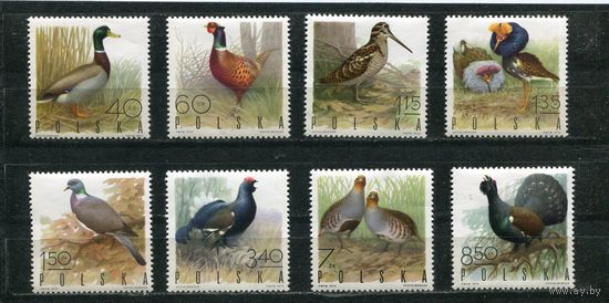 Польша. Фауна. Птицы