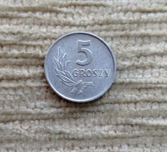 Werty71 Польша 5 грошей 1972 Блеск