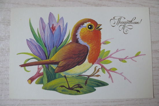 Пешехонов С., Поздравляю! 1989, чистая.