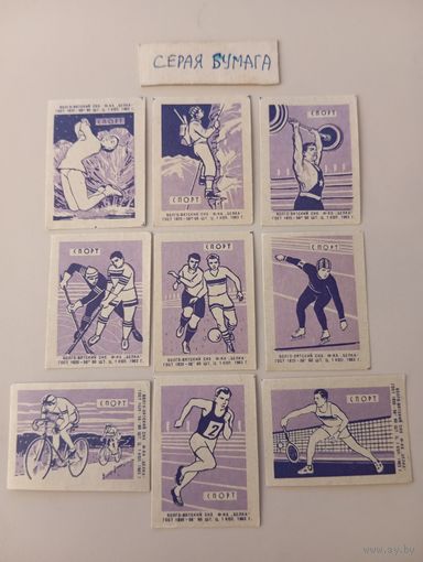 Спичечные этикетки ф.Белка. Спорт. 1963 год