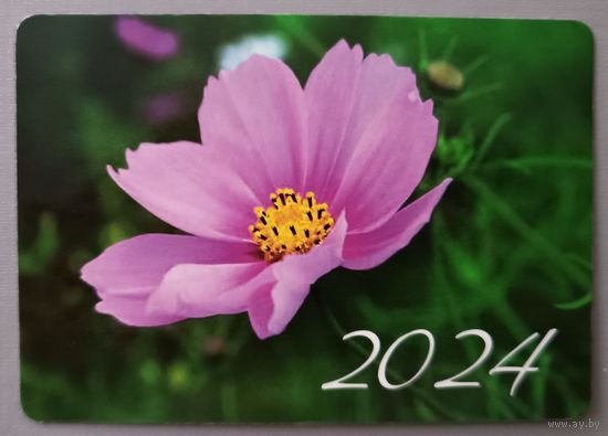 Цветок. Календарик, глянец, 2024