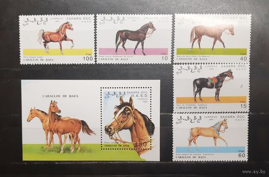 Сахара. 1993 год. Фауна. Лошади (блок и 5 марок) (1219)