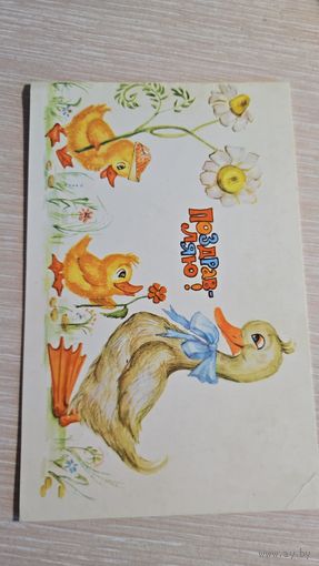 Открытка СССР