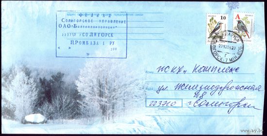 Зимний лес