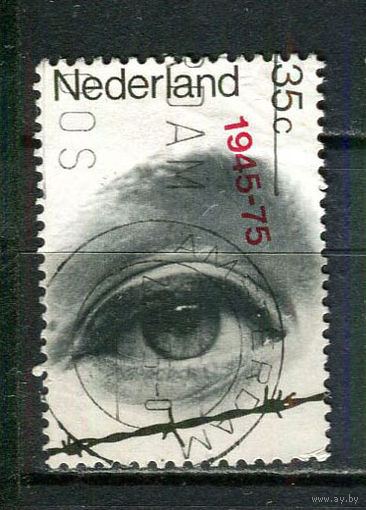 Нидерланды - 1975 - 30-я годовщина освобождения - [Mi. 1052] - полная серия - 1 марка. Гашеная.  (Лот 16JB)-TG3P56