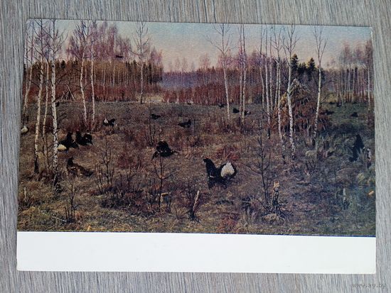 1956. Мухин. Когачи