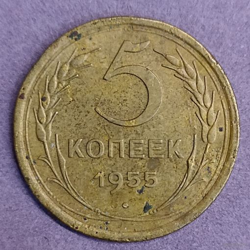 5 копеек 1955 г.