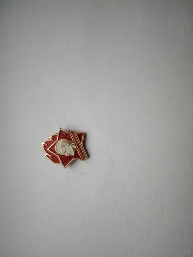 Пионерия