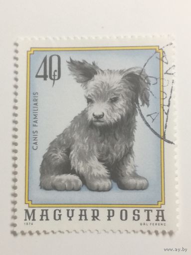 Венгрия 1974. Животные