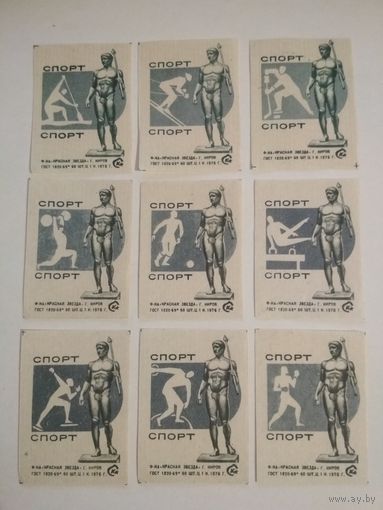 Спичечные этикетки ф.Красная звезда. Спорт. 1976 год