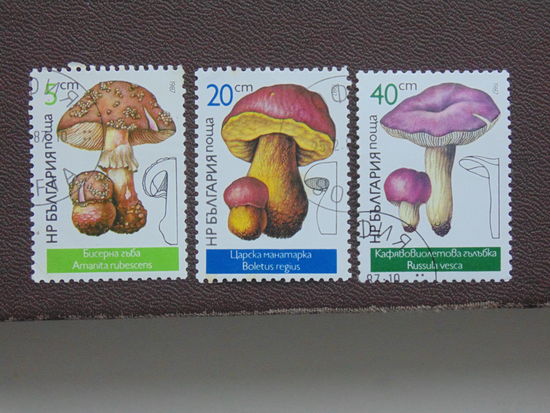 Болгария 1987 г. Грибы.