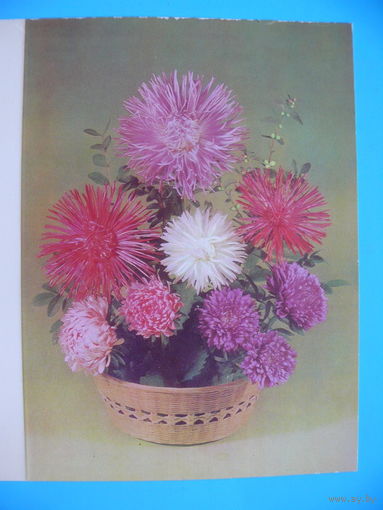 Круцко Б.(фото), Букет, 1983, двойная, чистая (из сувенирного комплекта).