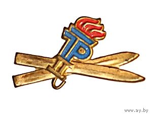 Наградной пионерский знак ГДР "Пионер - лыжник  II разряд"