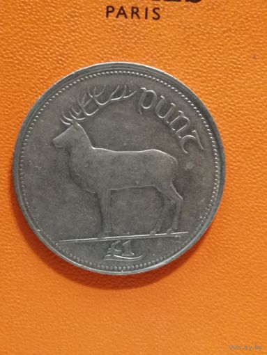 Ирландия, 1 фунт, 1995 год, KM# 27