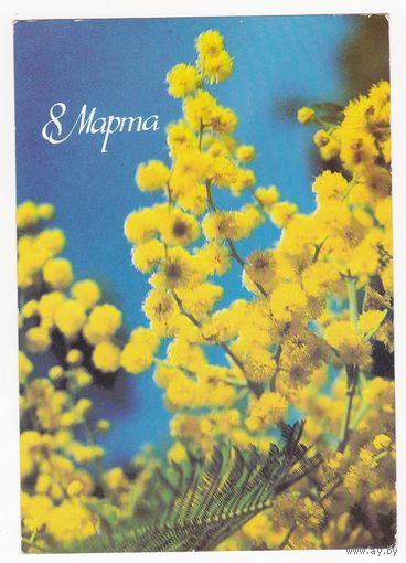 Открытка 1986 (160)