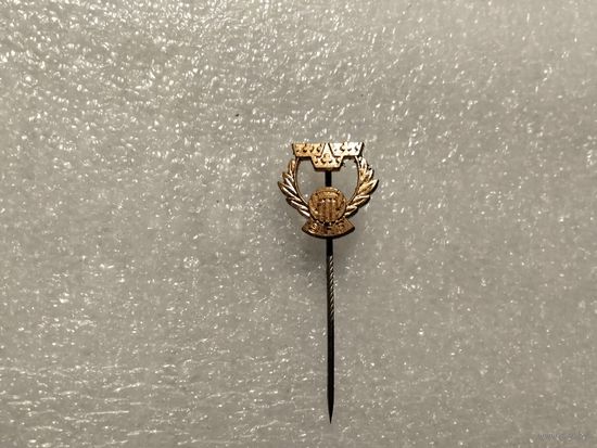 Федерация футбола Швеции