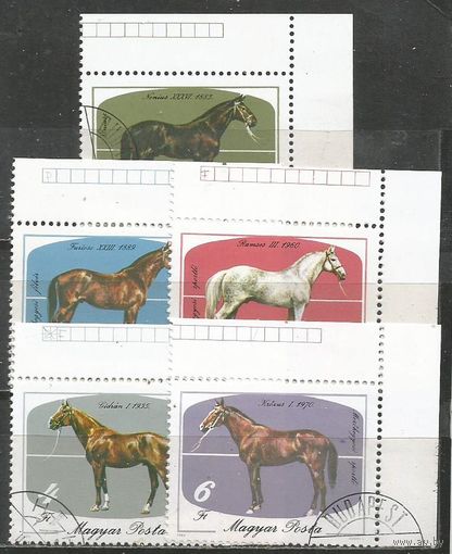 Венгрия. 200 лет коневодства. 1985г. Mi#3766-70. Серия.