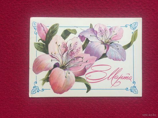 8 Марта! Зеленская. 1981 г.