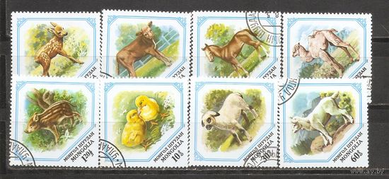 ФФ2 Монголия Фауна гаш