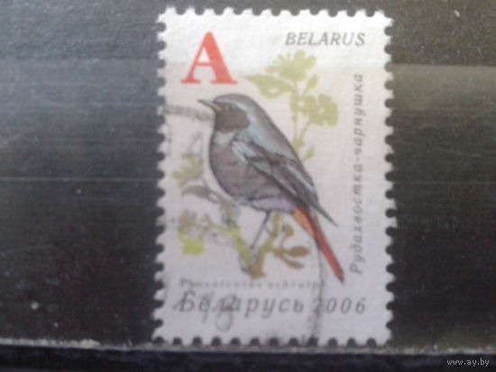 2006 Стандарт, птица А