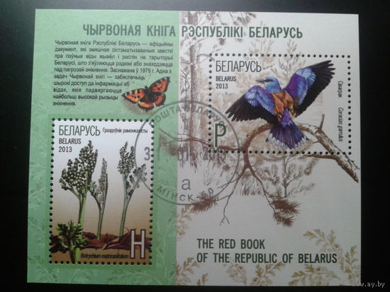 2013 Красная книга Блок