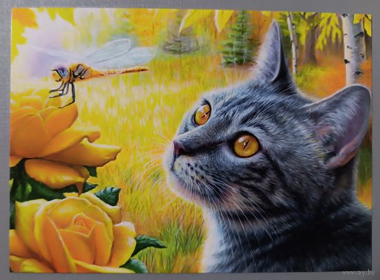 Любопытный кот. Стрекоза. Бриджит Вотх. Авторская открытка, глянец