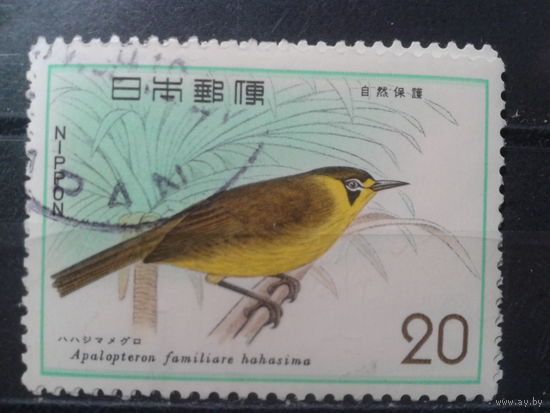 Япония, 1975. Медоед