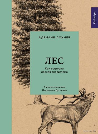А. Лохнер. Лес. Как устроена лесная экосистема
