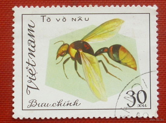 Вьетнам. Осы. ( 1 марка ) 1982 года. 11-12.