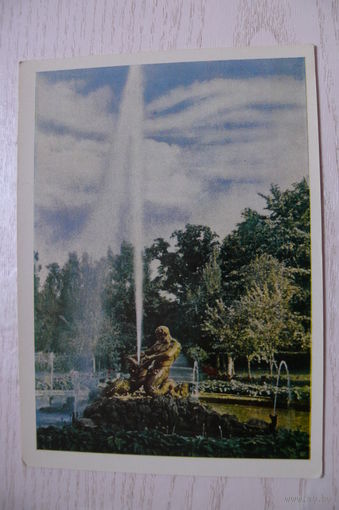Петродворец. Фонтаны; 1964, чистая (размер 10*15).