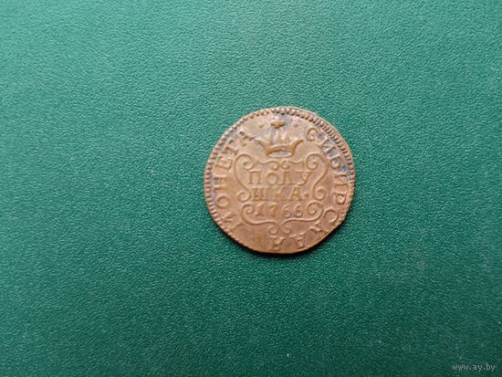 Полушка сибирская. КОПИЯ !