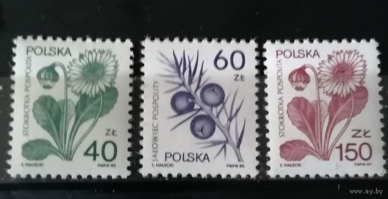 Польша 1989 Флора Лекарственные растения