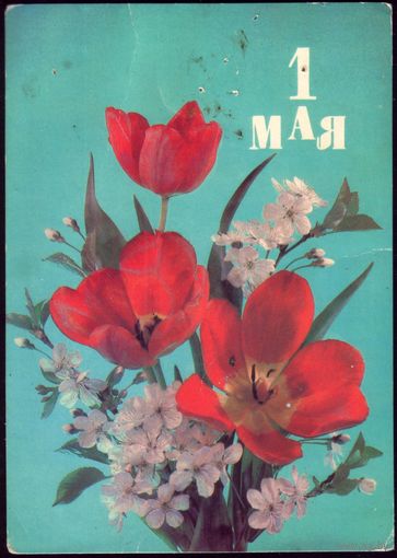 1989 год И.Дергилёв 1 мая