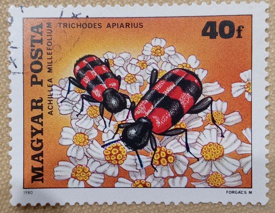 Венгрия 1980. Жуки. Trichodes Apiarius