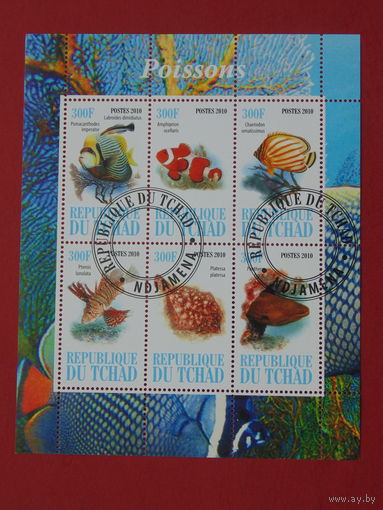 Чад 2010г. Морская фауна.