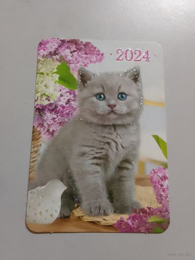 Карманный календарик. Котик. 2024 год