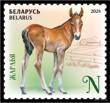 2024г Беларусь MNH  Малый лист "Детеныши домашних животных"